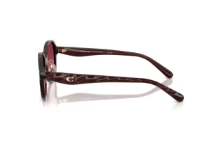 Sidevisning Coach CBY85 (HC8445D - 59158H)