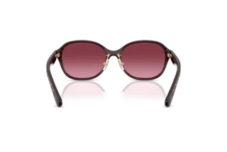 Bagside Coach CBY85 (HC8445D - 59158H)