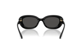 Bagside Coach CDP35 (HC8448U - 500287)