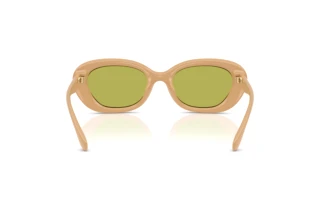 Bagside Coach CDP35 (HC8448U - 5929/2)