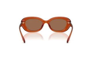 Bagside Coach CDP35 (HC8448U - 593073)