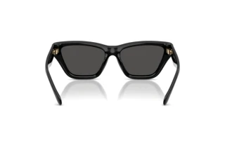 Bagside Coach CDP33 (HC8449U - 500287)