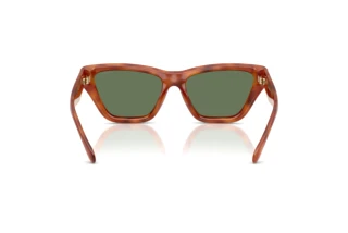 Bagside Coach CDP33 (HC8449U - 577482)