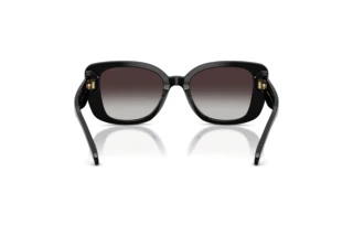 Bagside Coach CDP48 (HC8450U - 50028G)