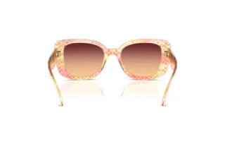 Bagside Coach CDP48 (HC8450U - 5934W8)