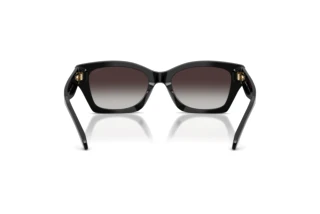 Bagside Coach CDP49 (HC8451U - 50028G)