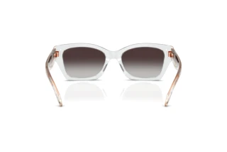 Bagside Coach CDP49 (HC8451U - 59358G)