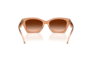 Bagside Coach CDP49 (HC8451U - 593774)