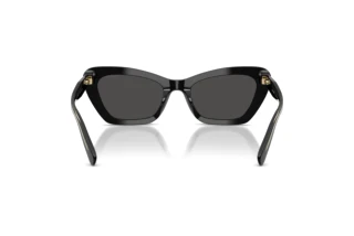 Bagside Coach CDP52 (HC8452U - 500287)