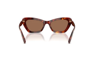 Bagside Coach CDP52 (HC8452U - 593873)