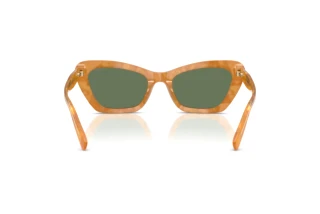 Bagside Coach CDP52 (HC8452U - 593982)