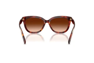 Bagside Coach CDP53 (HC8453U - 593874)