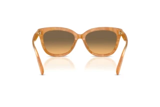 Bagside Coach CDP53 (HC8453U - 593911)