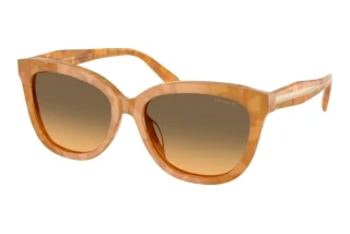 Forfra Coach CDP53 (HC8453U - 593911)