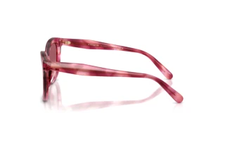 Sidevisning Coach CDP53 (HC8453U - 59417W)