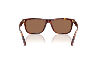 Bagside Coach CDP55 (HC8454U - 593813)