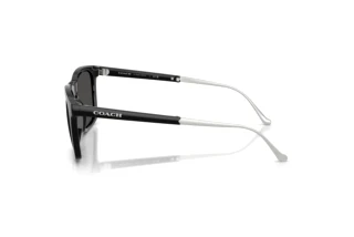 Sidevisning Coach CDP54 (HC8455 - 500287)