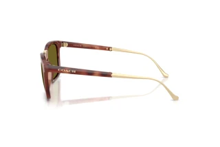 Sidevisning Coach CDP54 (HC8455 - 5774/2)