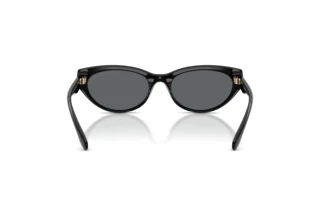 Bagside Coach CDP42 (HC8456D - 500281)