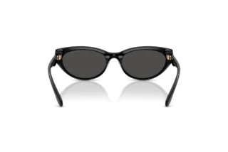 Bagside Coach CDP42 (HC8456D - 500287)