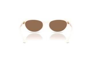 Bagside Coach CDP42 (HC8456D - 579073)