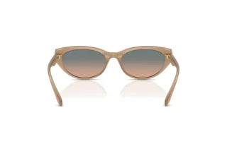 Bagside Coach CDP42 (HC8456D - 594413)