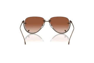 Bagside Diesel DL1003 (105/13)