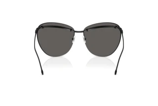 Bagside Diesel DL1007 (109/6G)