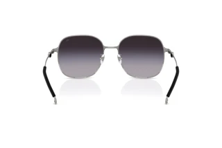 Bagside Diesel DL1010D (10038G)