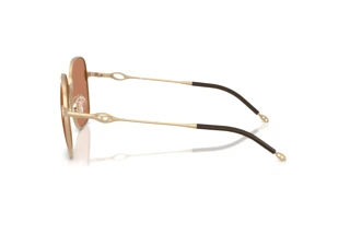 Sidevisning Diesel DL1010D (101173)