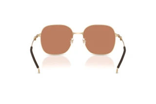 Bagside Diesel DL1010D (101173)