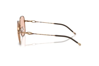 Sidevisning Diesel DL1010D (103084)