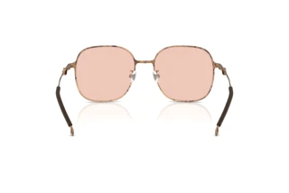 Bagside Diesel DL1010D (103084)