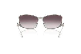 Bagside Diesel DL1013 (101411)