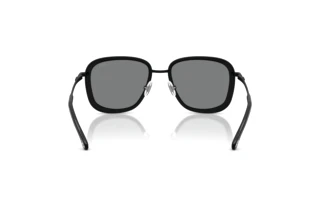 Bagside Diesel DL1017 (100887)