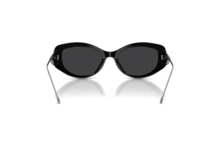 Bagside Diesel DL2001MU (701/6G)