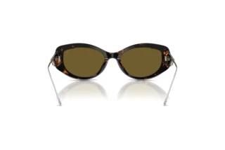 Bagside Diesel DL2001MU (711/73)