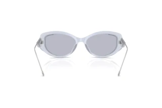 Bagside Diesel DL2001MU (722/1)