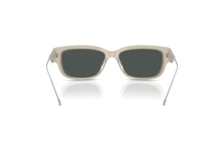 Bagside Diesel DL2002MU (201987)