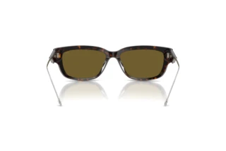 Bagside Diesel DL2002MU (713/73)