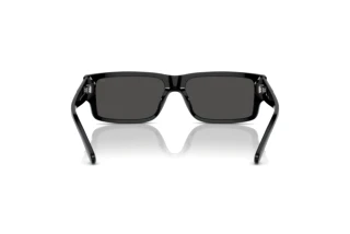 Bagside Diesel DL2003 (701/87)