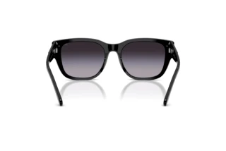 Bagside Diesel DL2005 (20018G)