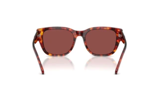 Bagside Diesel DL2005 (202375)