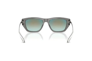 Bagside Diesel DL2006 (2027B6)