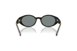 Bagside Diesel DL2008U (2042/1)