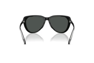 Bagside Diesel DL2011U (200187)