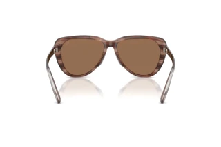 Bagside Diesel DL2011U (203673)