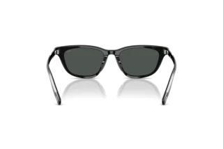 Bagside Diesel DL2012U (200187)