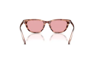 Bagside Diesel DL2012U (203684)