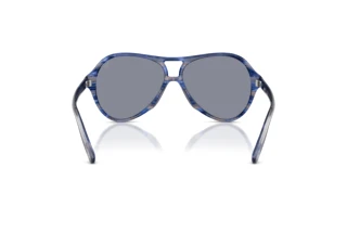 Bagside Diesel DL2013U (2037/1)